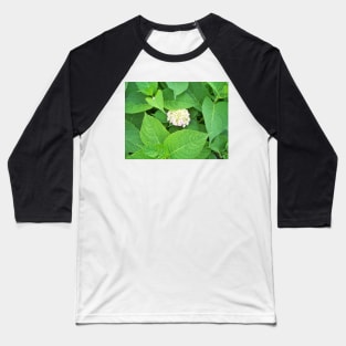 Hydrangea Baseball T-Shirt